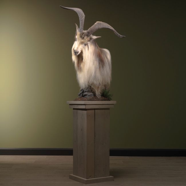 2181 Country Goat on Pedestal