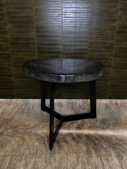 Petrified wood table smooth